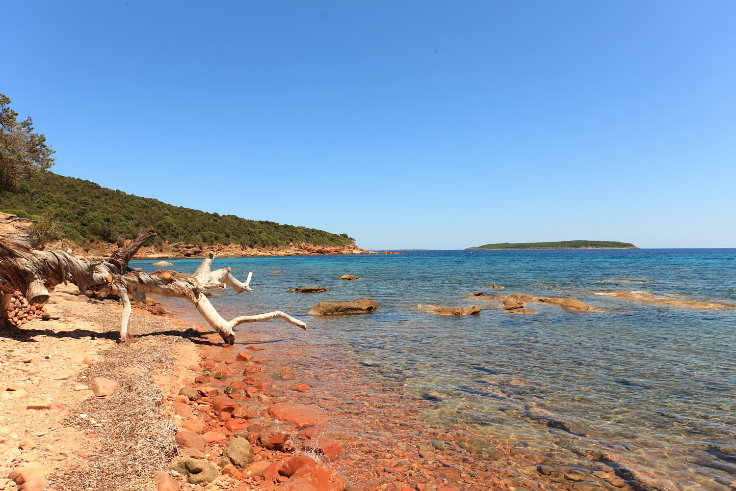 Palombaggia - schönster Strand Korsikas