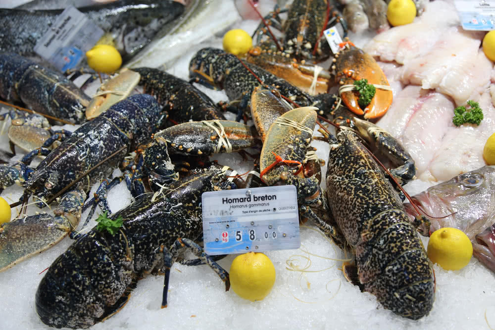 Fischtheke in französischer Markthalle