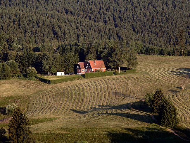 Harzer Ferienhaus - Idylle in der Natur und den Bergen