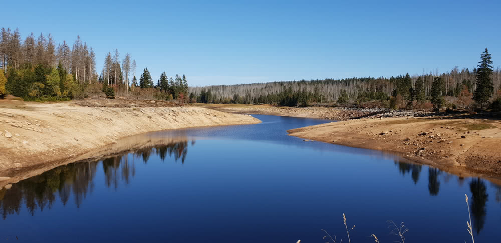 Oderteich, Harz