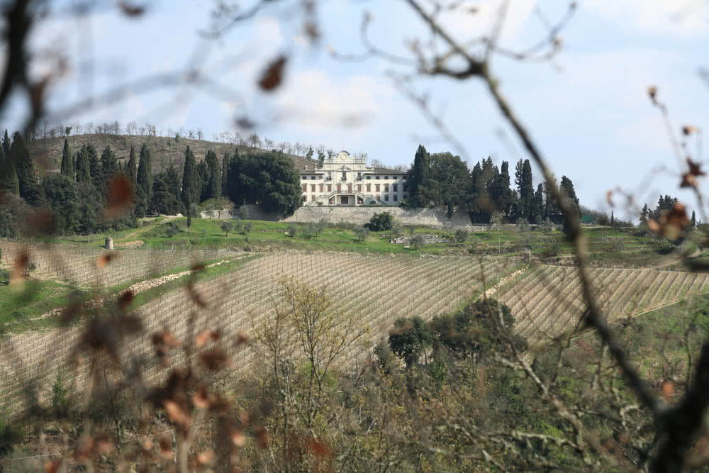 Castelina in Chianti