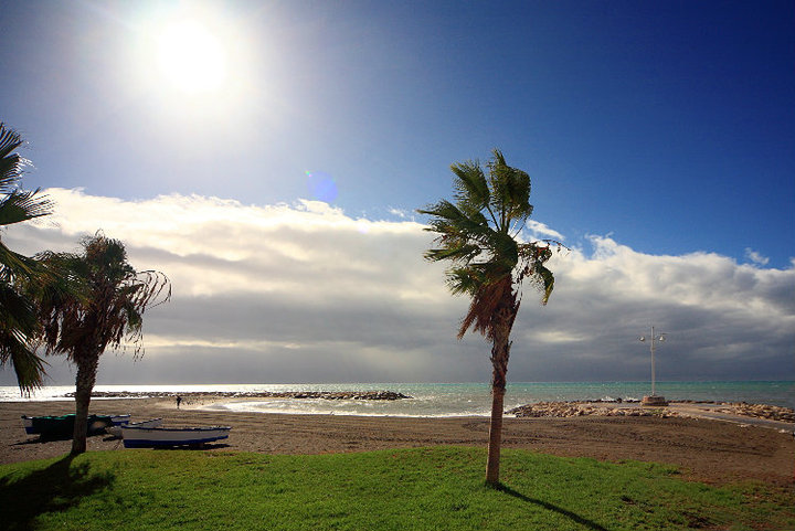 Strand mit Palmen