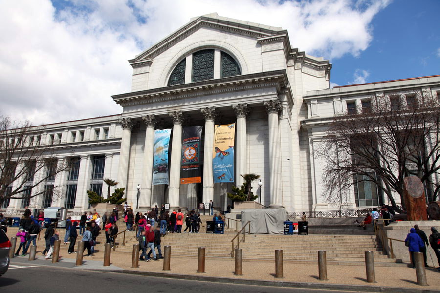 Naturkunde Museum Washington